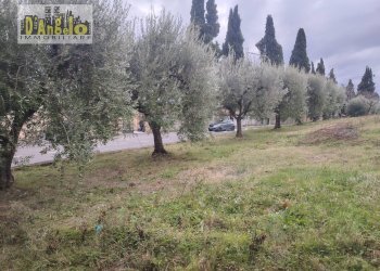 Foto 24 - Villa Via Gramsci
 
14, Offida - photo 24