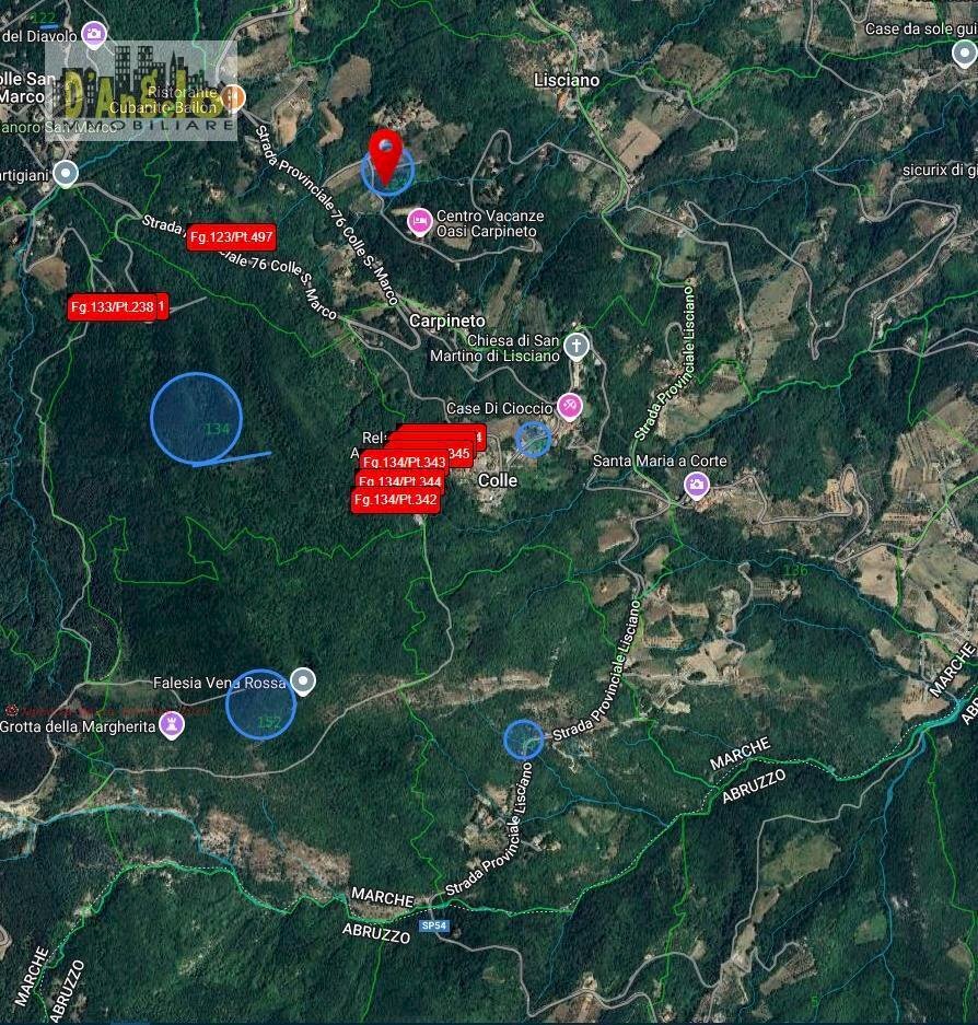 Foto 1 - Azienda agricola Ascoli Piceno - foto 1