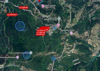 Foto 1 - Azienda agricola Ascoli Piceno - foto 1