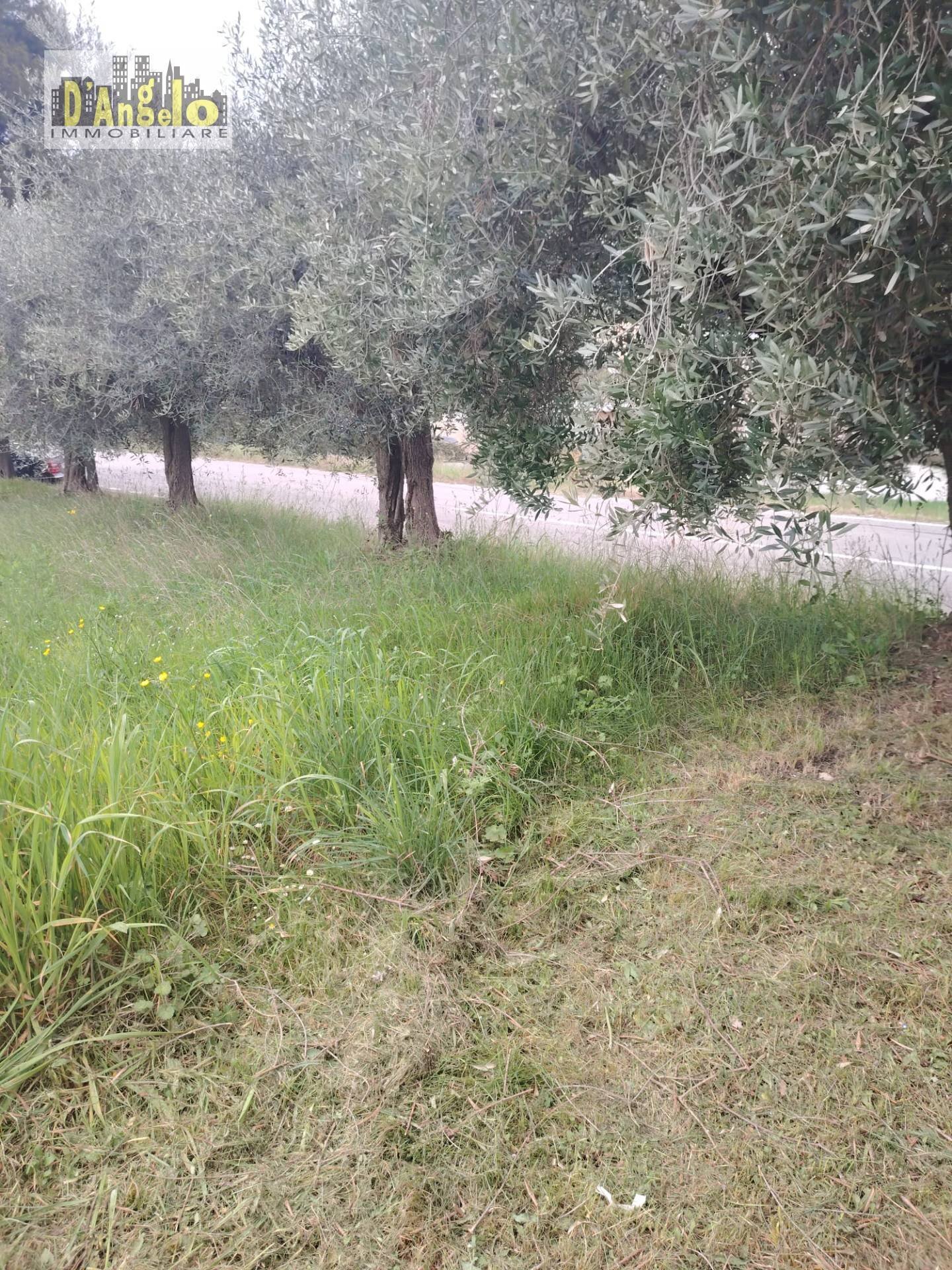 Foto 3 - Rustic Contrada San Lazzaro
 
29, Offida - photo 3