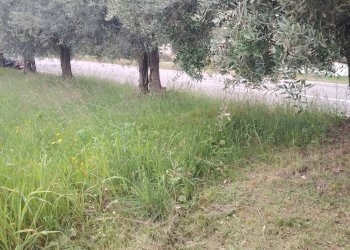 Foto 3 - Rustic Contrada San Lazzaro
 
29, Offida - photo 3