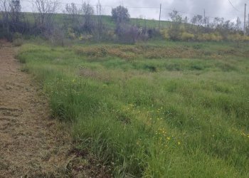 Foto 4 - Rustic Contrada San Lazzaro
 
29, Offida - photo 4