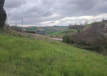 Foto 5 - Rustic Contrada San Lazzaro
 
29, Offida - photo 5