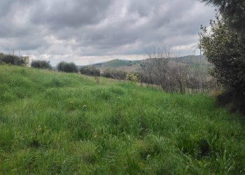 Foto 8 - Rustic Contrada San Lazzaro
 
29, Offida - photo 8