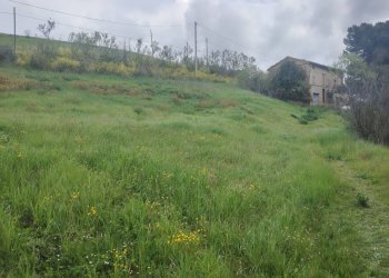 Foto 9 - Rustic Contrada San Lazzaro
 
29, Offida - photo 9