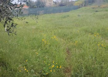 Foto 10 - Rustic Contrada San Lazzaro
 
29, Offida - photo 10