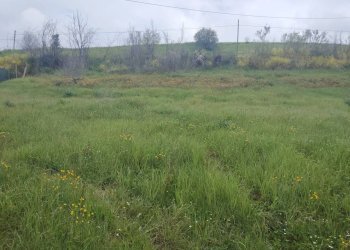 Foto 11 - Rustic Contrada San Lazzaro
 
29, Offida - photo 11