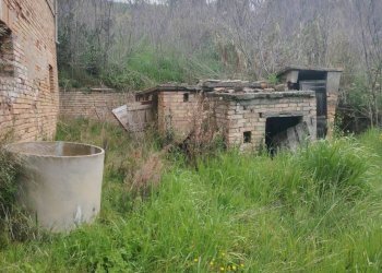 Foto 12 - Rustic Contrada San Lazzaro
 
29, Offida - photo 12