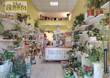 Foto 6 - Commercial Premises via borgo gabribaldi, Castignano - photo 6