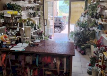 Foto 7 - Commercial Premises via borgo gabribaldi, Castignano - photo 7