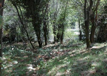 Foto 36 - Casa indipendente Via Garibaldi, Cassinelle - foto 36