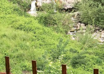 Foto 33 - Villa Zeri - foto 33