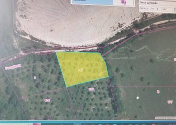 Foto 2 - Terreno agricolo Contrada Fontana della Noce, Serre - foto 2