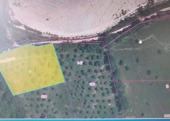 Foto 3 - Terreno agricolo Contrada Fontana della Noce, Serre - foto 3