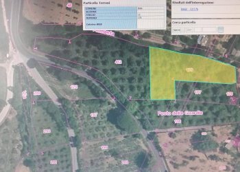 Foto 2 - Terreno agricolo Via S.S. 19, Serre - foto 2