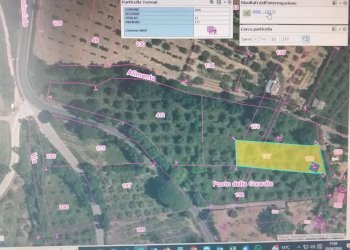 Foto 4 - Terreno agricolo Via S.S. 19, Serre - foto 4