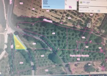 Foto 5 - Terreno agricolo Via S.S. 19, Serre - foto 5