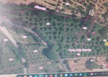 Foto 6 - Terreno agricolo Via S.S. 19, Serre - foto 6