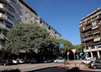 Foto 2 - Appartamento Pordenone - foto 2