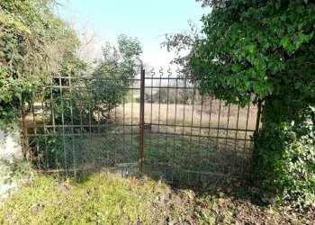 giardino - Rustico Cordenons - foto 4