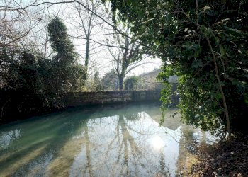 vista - Rustico Cordenons - foto 3