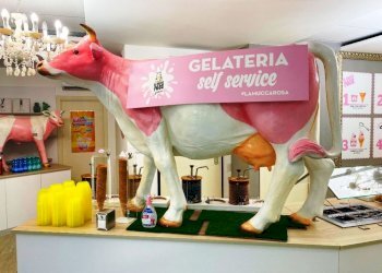 Foto 2 - Attività Commerciale Palau - foto 2