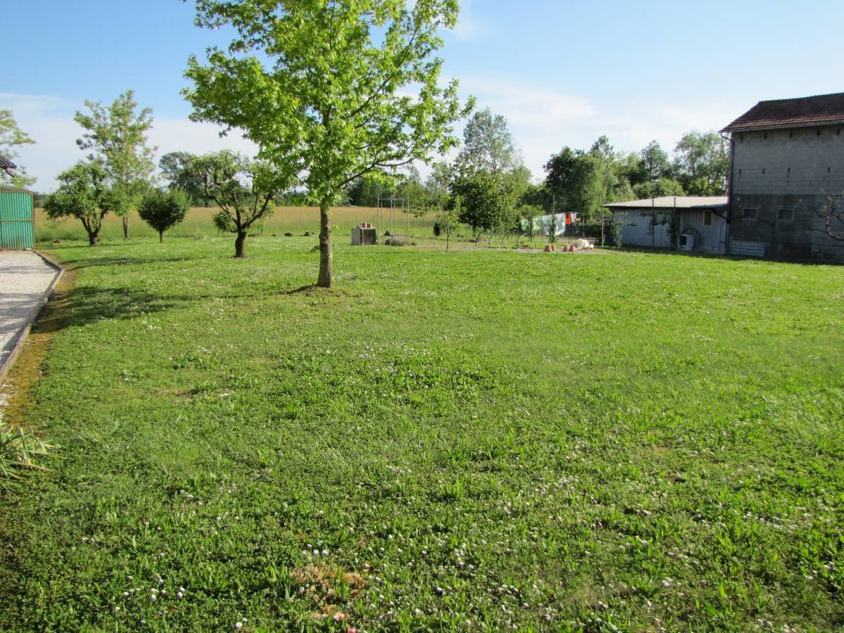 Foto 2 - Terreno edificabile Azzano Decimo - foto 2