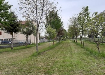 Foto 12 - Casa indipendente Aviano - foto 12