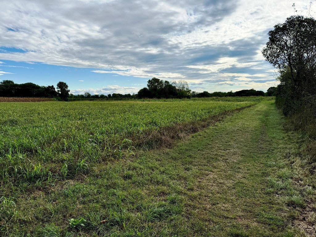 Foto 2 - Agricultural land Pordenone - photo 2