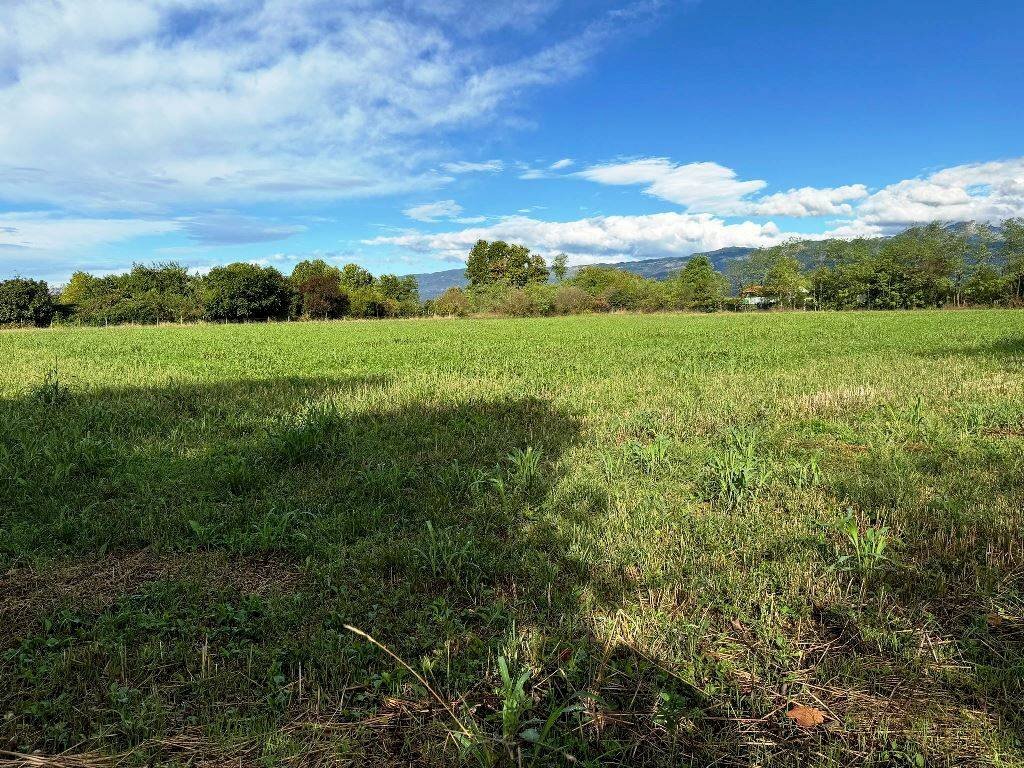 Foto 3 - Agricultural land Pordenone - photo 3