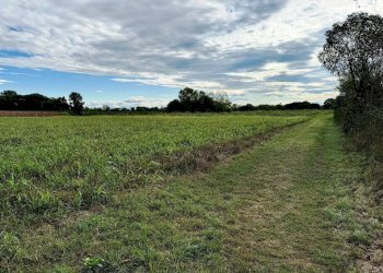 Foto 2 - Terreno agricolo Pordenone - foto 2