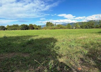 Foto 3 - Terreno agricolo Pordenone - foto 3