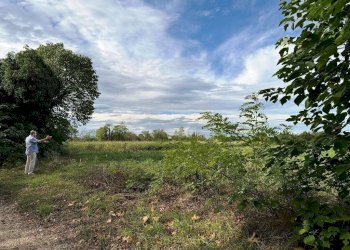 Foto 4 - Terreno agricolo Pordenone - foto 4