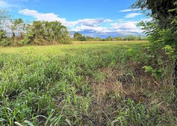 Foto 5 - Terreno agricolo Pordenone - foto 5