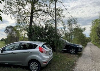 Foto 6 - Terreno agricolo Pordenone - foto 6