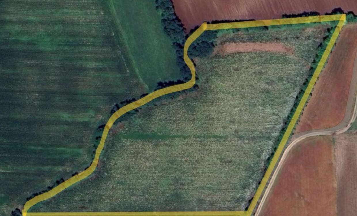 Foto 1 - Terreno agricolo Aviano - foto 1