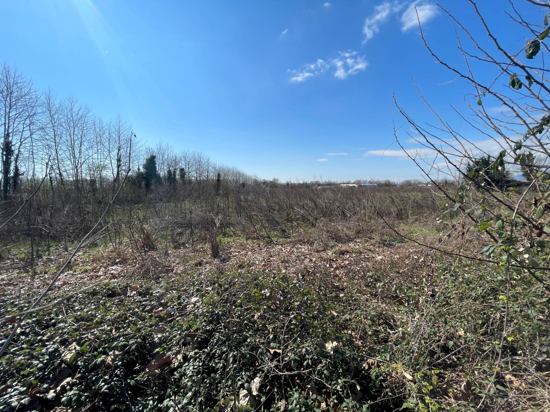 Foto 2 - Terreno agricolo Aviano - foto 2