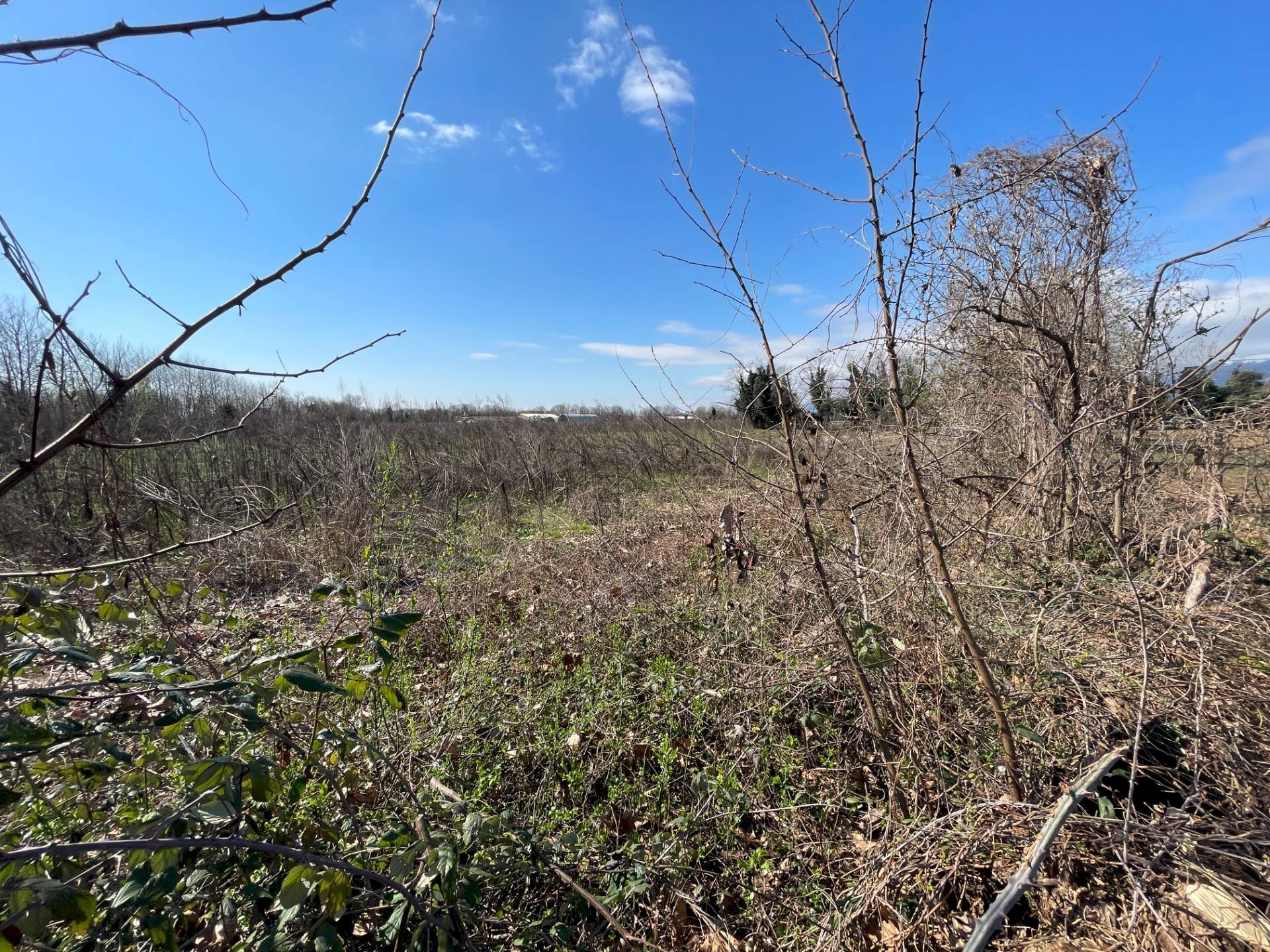 Foto 3 - Terreno agricolo Aviano - foto 3