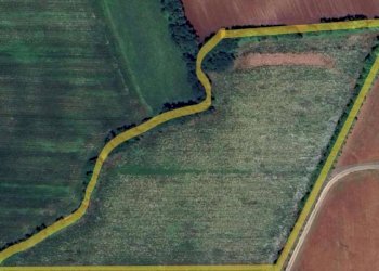 Foto 1 - Terreno agricolo Aviano - foto 1