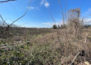 Foto 3 - Terreno agricolo Aviano - foto 3