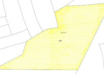 Foto 5 - Terreno agricolo Aviano - foto 5