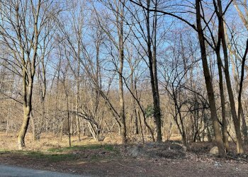 Foto 6 - Independent house STRADA PIANCA, Trana - photo 6