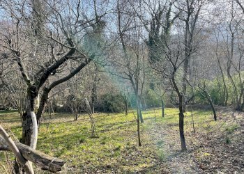 Foto 7 - Independent house STRADA PIANCA, Trana - photo 7