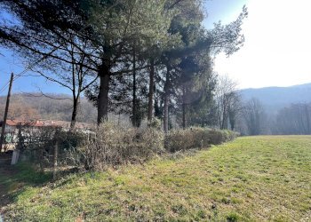 Foto 11 - Independent house STRADA PIANCA, Trana - photo 11