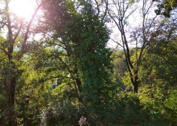 Foto 33 - Appartamento Garlenda - foto 33