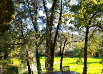 Foto 38 - Appartamento Garlenda - foto 38