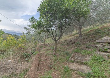 Foto 14 - Casa indipendente strada Provinciale 130
 
snc, Pollina - foto 14