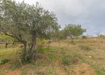 Foto 19 - Casa indipendente strada Provinciale 130
 
snc, Pollina - foto 19