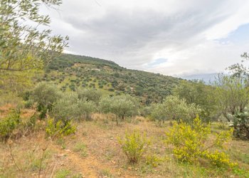 Foto 20 - Casa indipendente strada Provinciale 130
 
snc, Pollina - foto 20