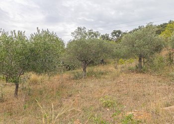 Foto 22 - Casa indipendente strada Provinciale 130
 
snc, Pollina - foto 22